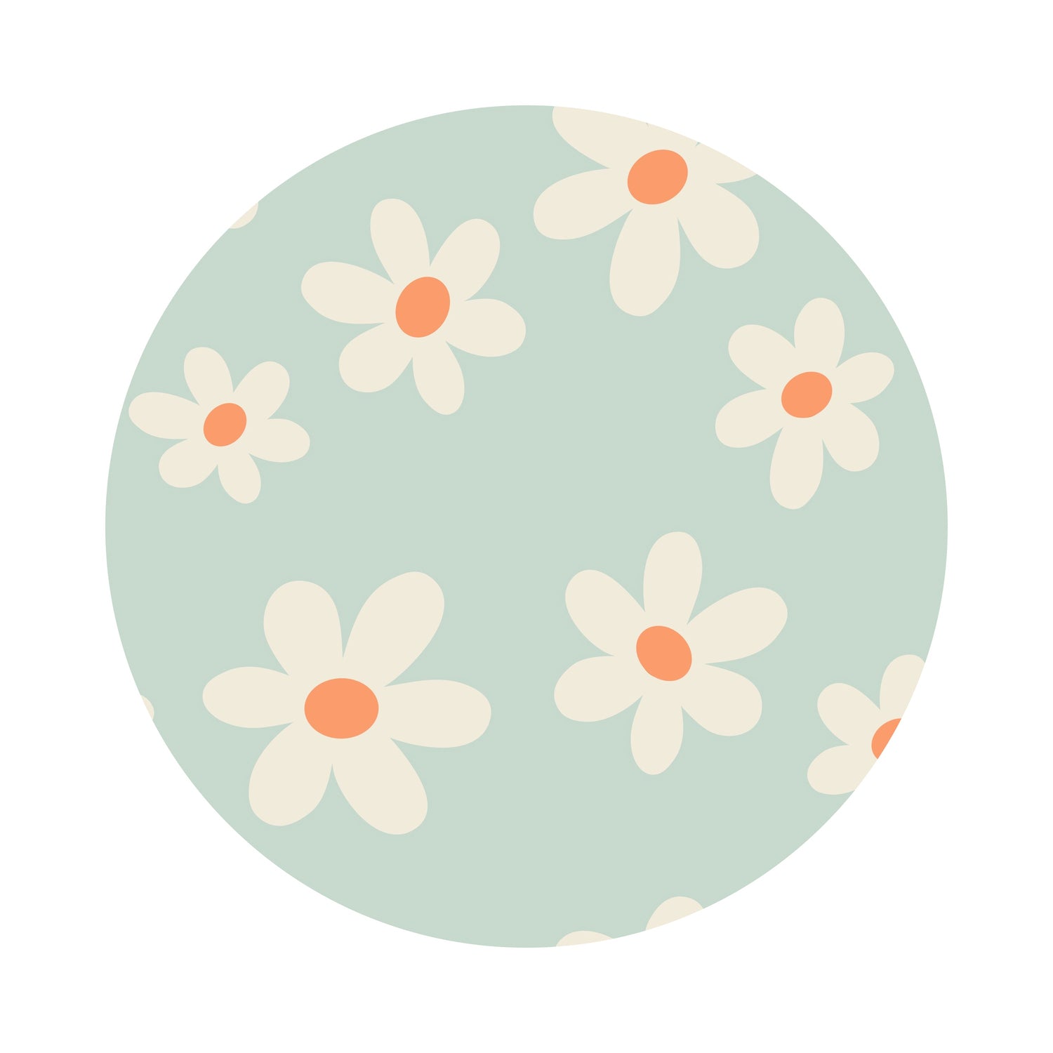Darling Daisy