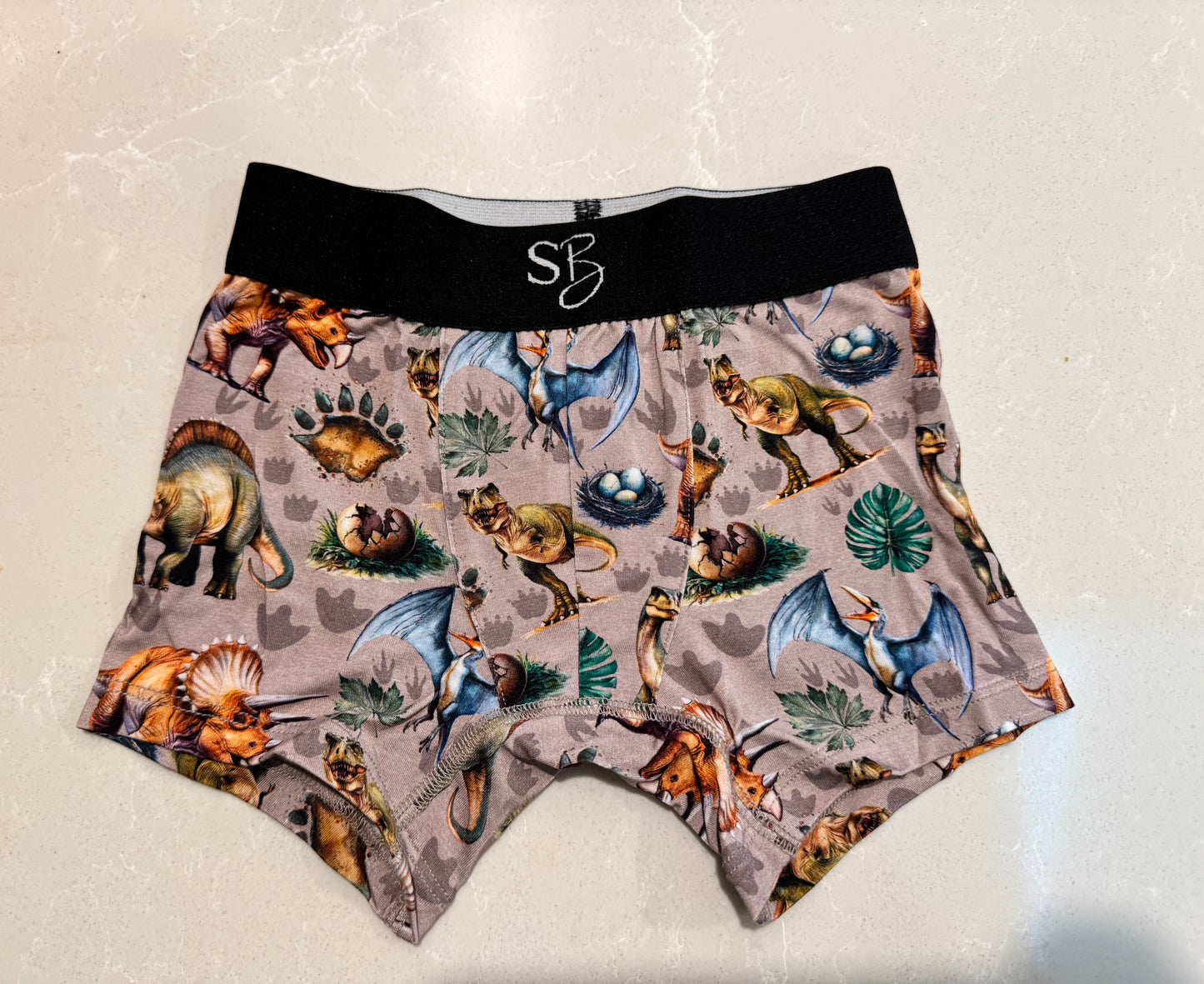 Dinos: Boxer Briefs