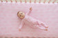 Pink Toile - Zippy
