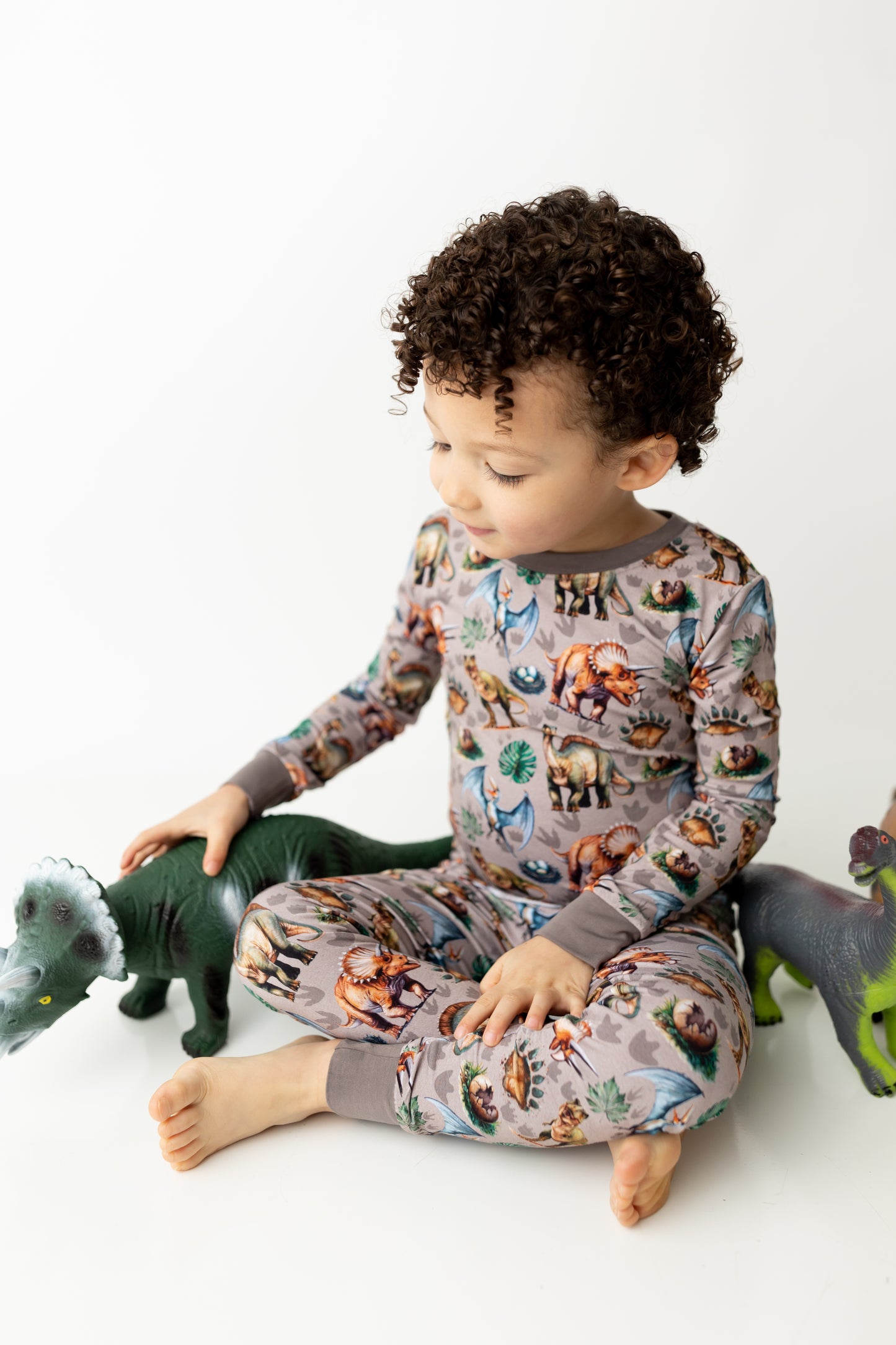 Dinos: 2 Piece Set