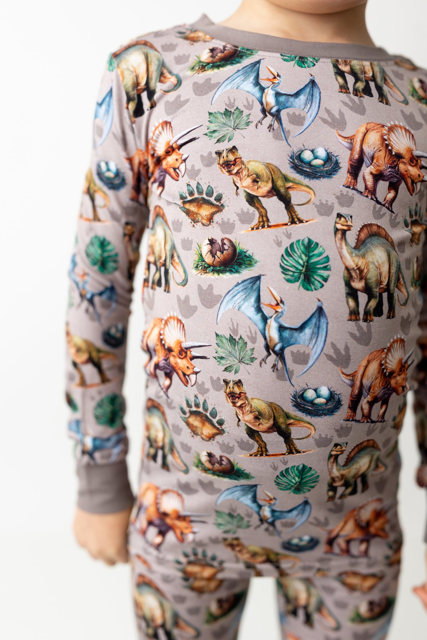 Dinos: 2 Piece Set