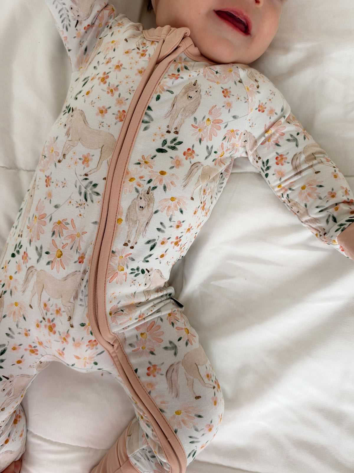 Enchanted: Zippy