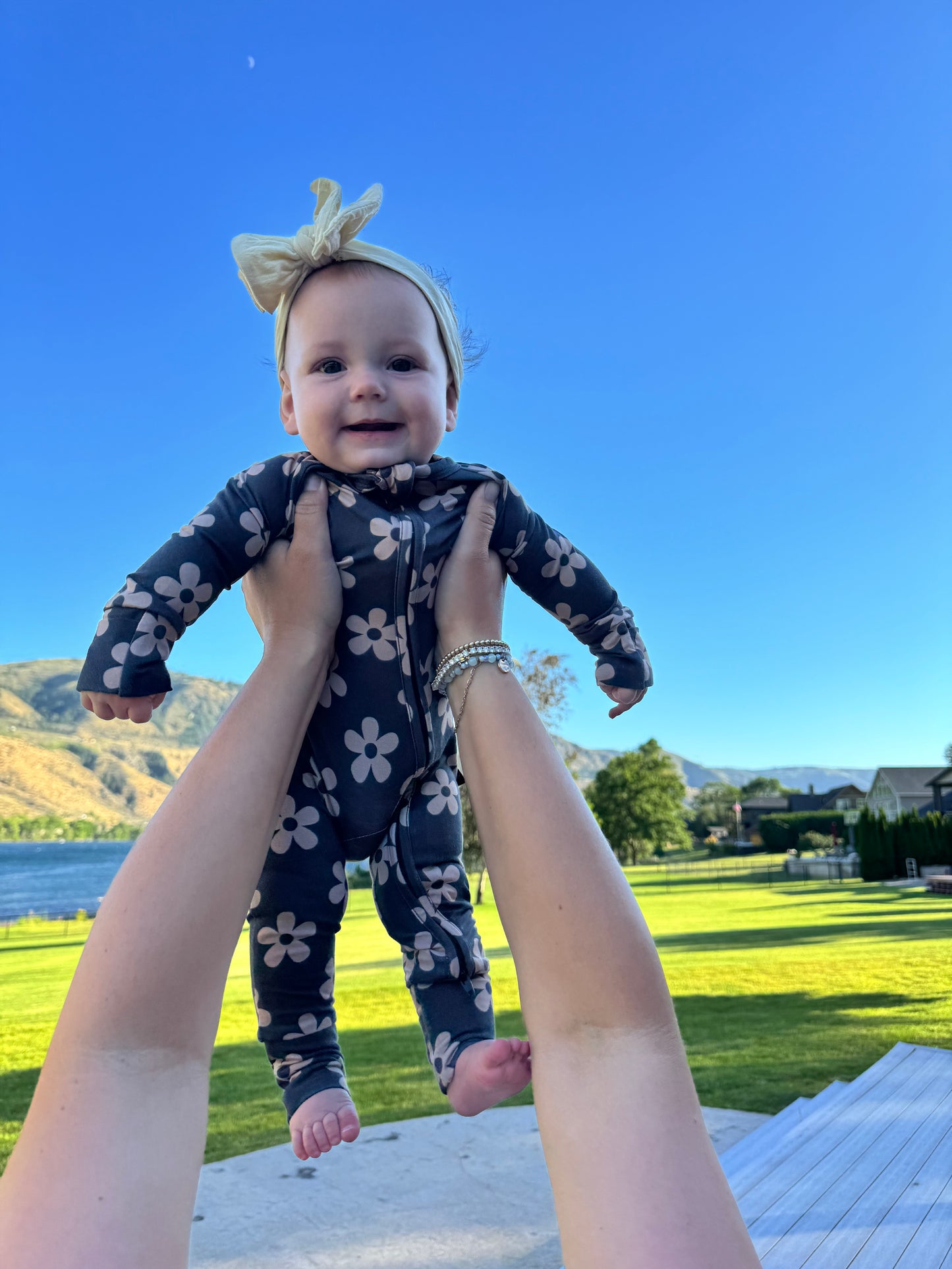Bloom: Zippy