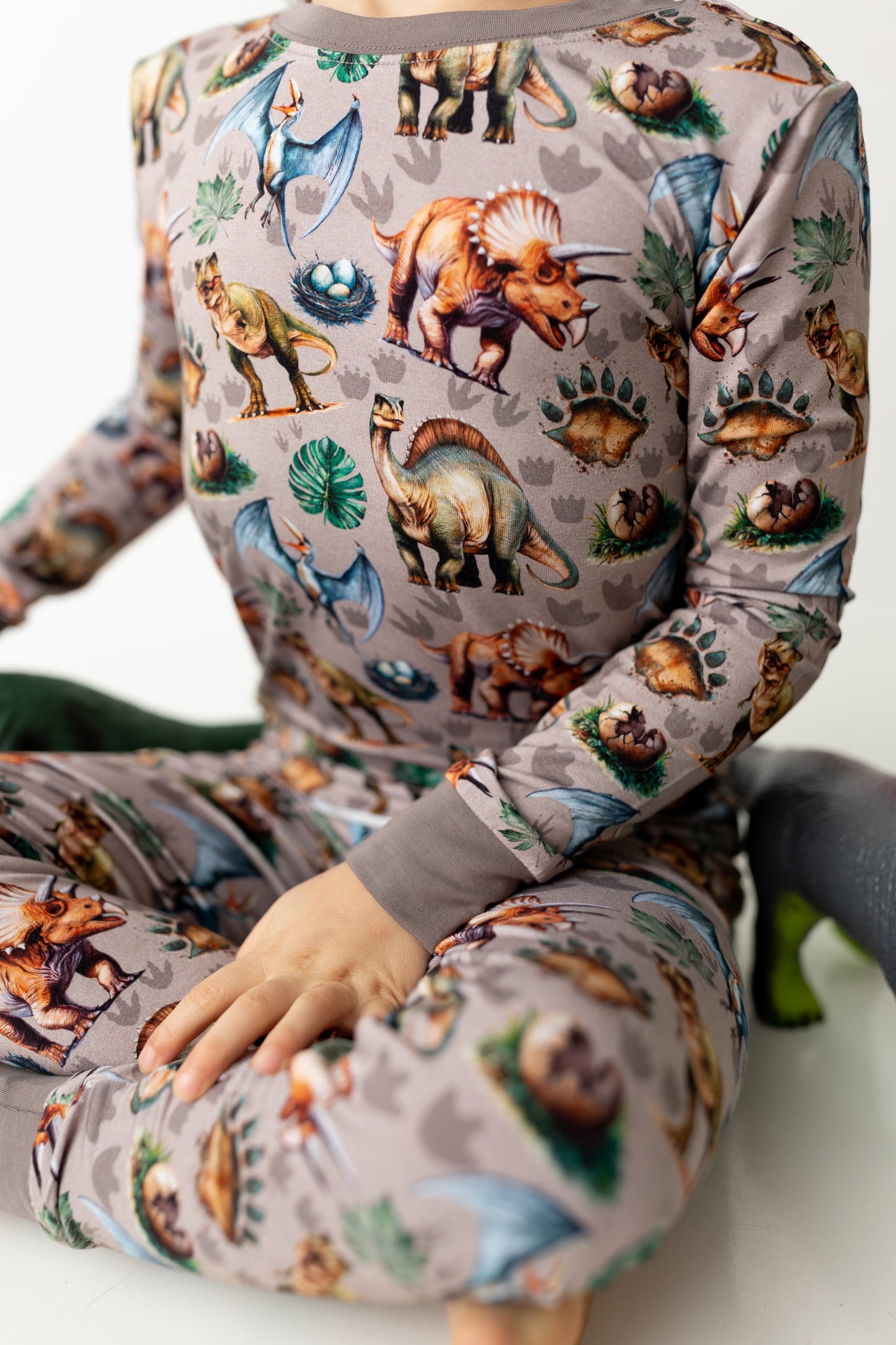 Dinos: 2 Piece Set