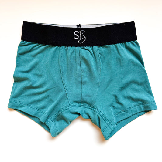 Boxer Brief: Teal Blue